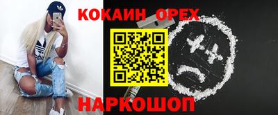 крисы Будённовск
