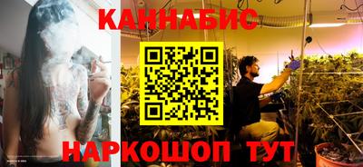 крисы Будённовск