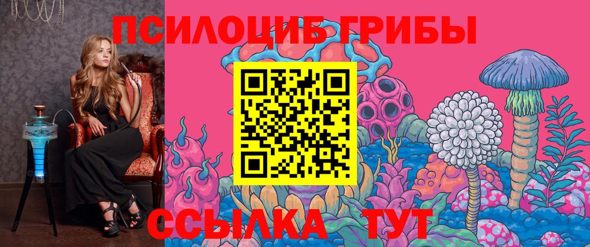 Галлюциногенные грибы Magic Shrooms  Вход с VPN  Псилоцибиновые грибы Psilocybine cubensis  Чусовой 
