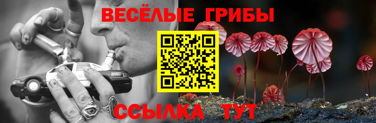 Галлюциногенные грибы Cubensis Чусовой